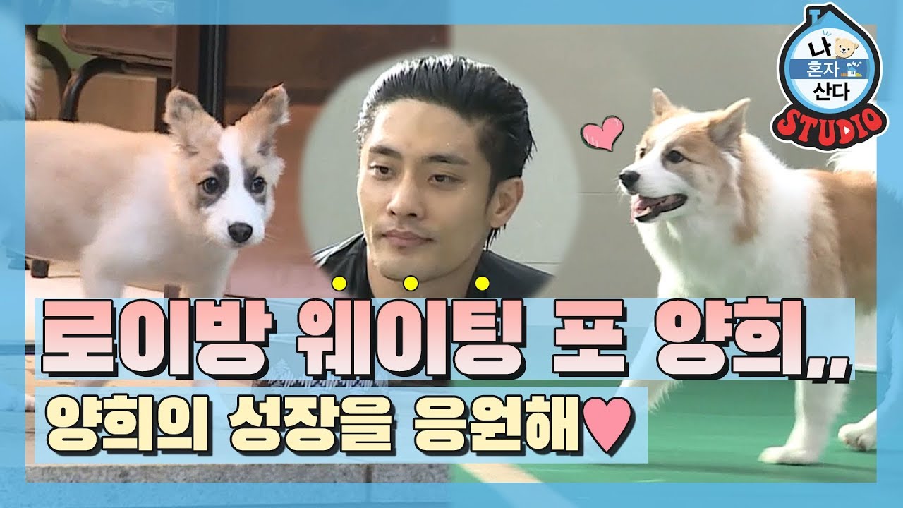 [나혼산 다시보기] 성훈이 이렇게 기다려준다면 마음을 오쁜 안 하고는 못 버티지,,,(sunghoon & yanghee)