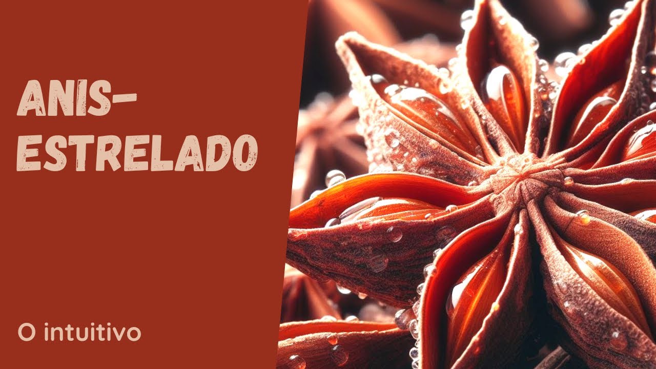 As propriedades energ&eacute;ticas do Anis-estrelado