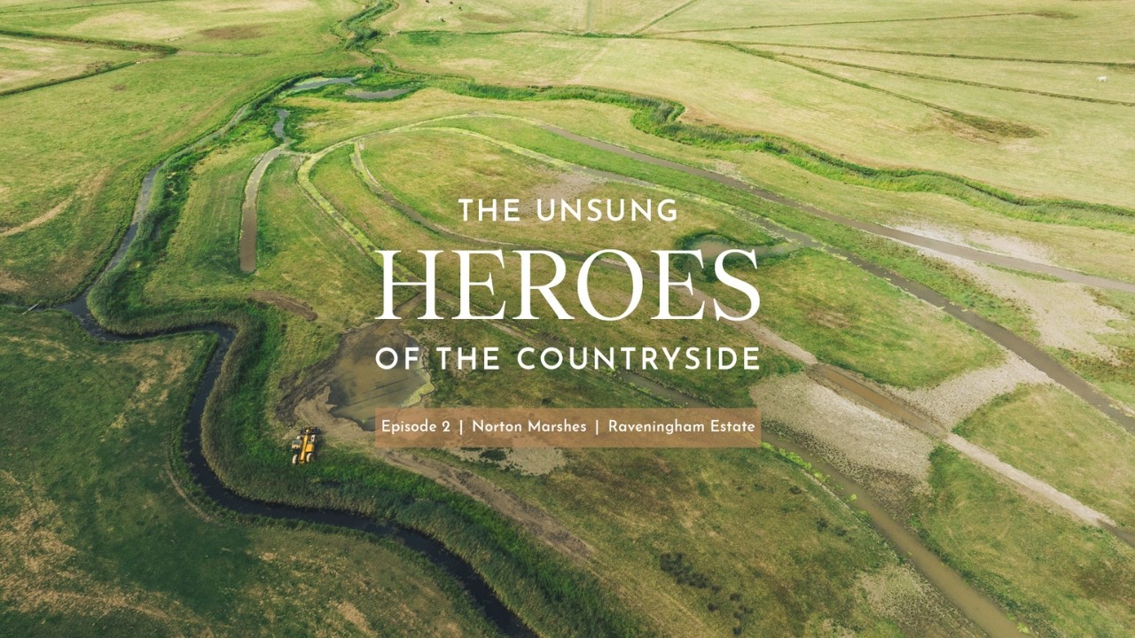 The unsung heroes of the British countryside | Episode 2: Raveningham Estate