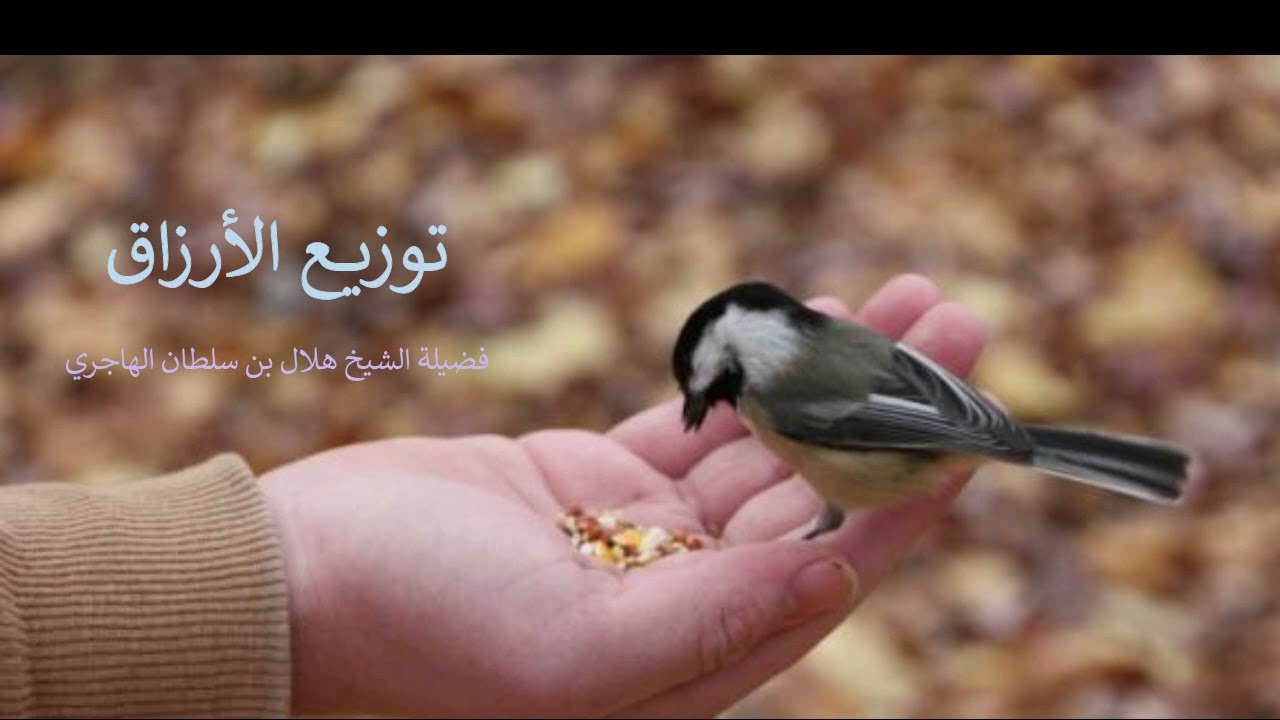 توزيع الأرزاق فضيلة الشيخ هلال بن سلطان الهاجري
