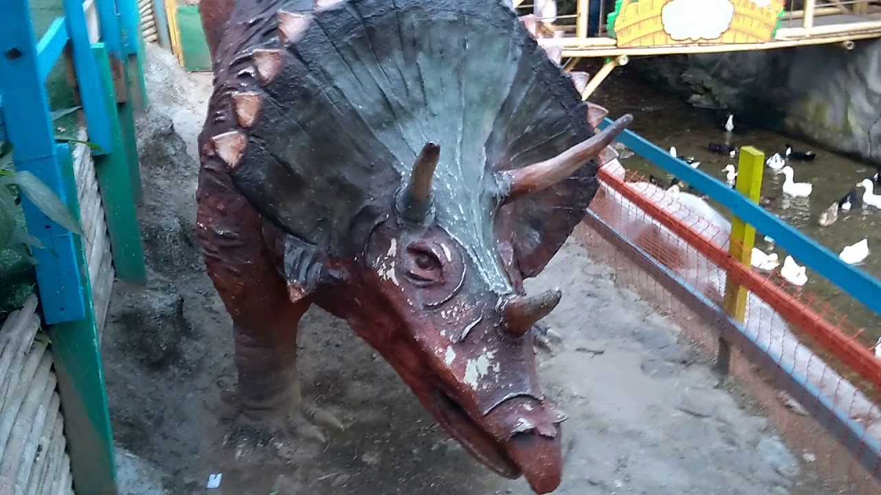 La Paturra Envigado