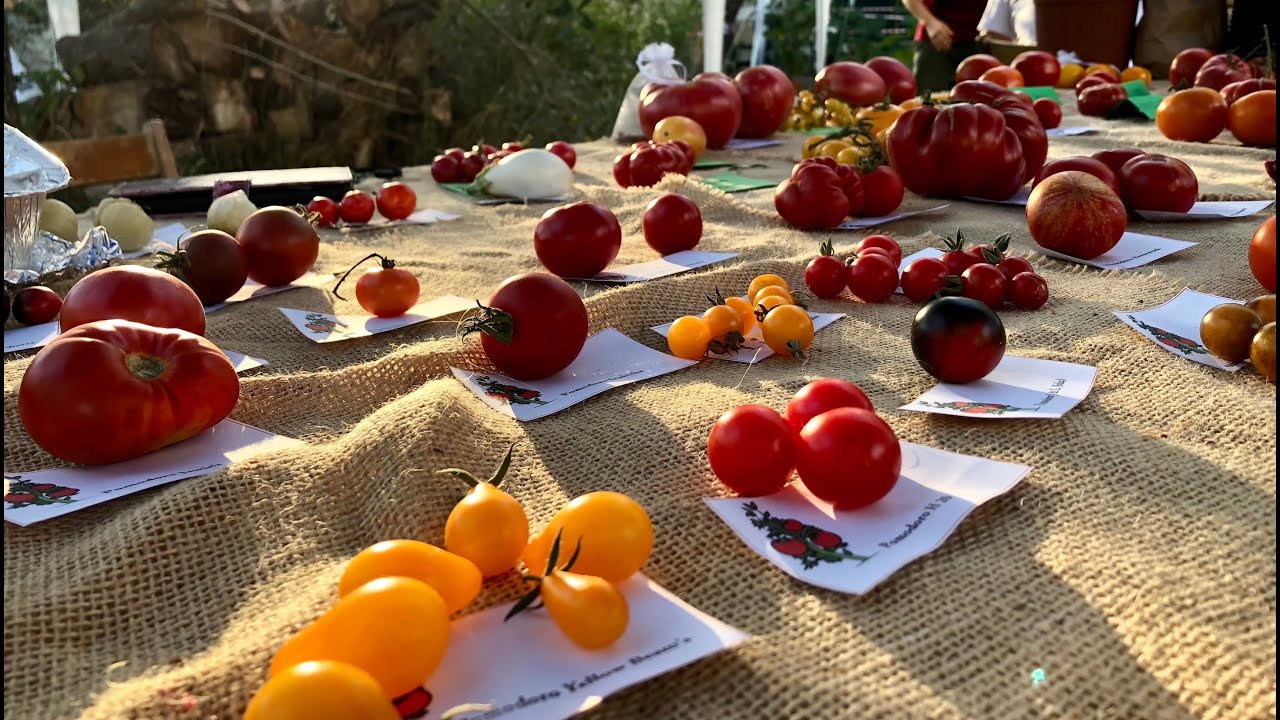 Biodiversità - Scambio semi -