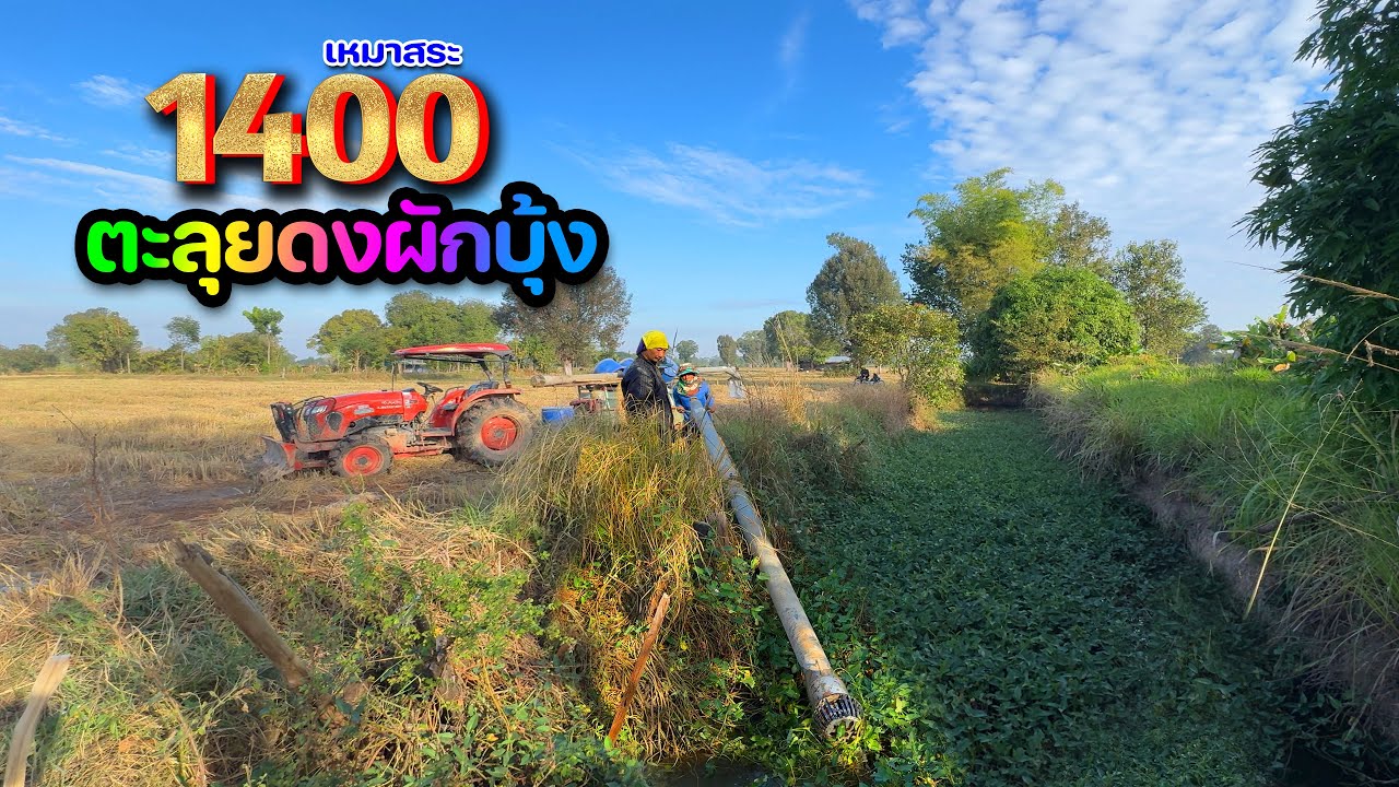 เหมาสระผักบุ้ง2ปี 1,400 บาท เห็นเงียบ ๆ ที่ไหนได้โคตรเดือด! ลาบเป็ดสุดแซ่บ #อะลางสะออนเหมาสระ