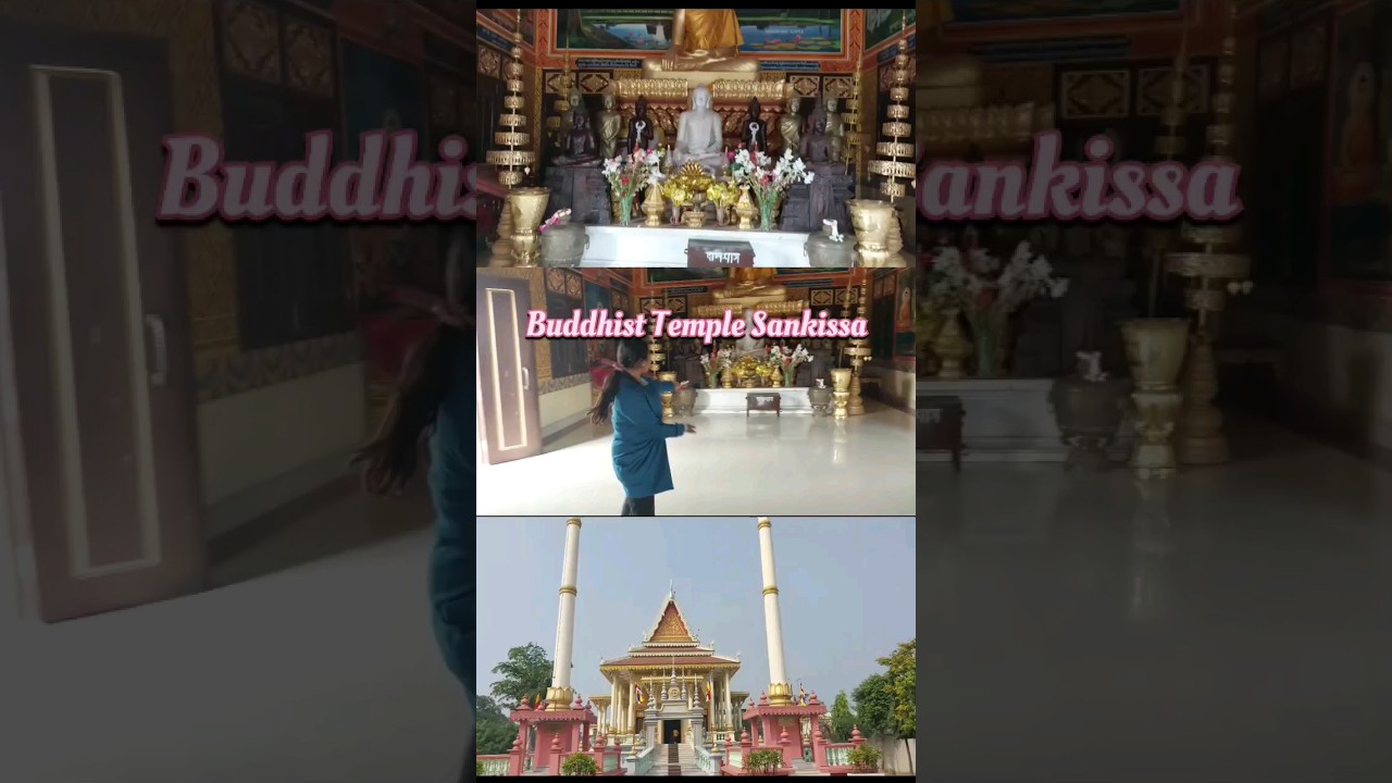 Full vlog on Channel @sejalgupta2950 #Sankissa #buddhisttemple