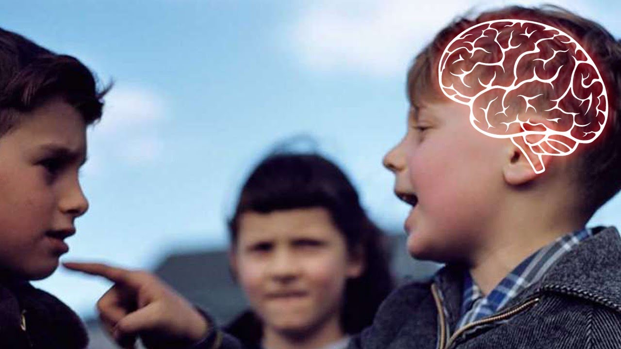 Virtual Tour in the Mind of a Bully!