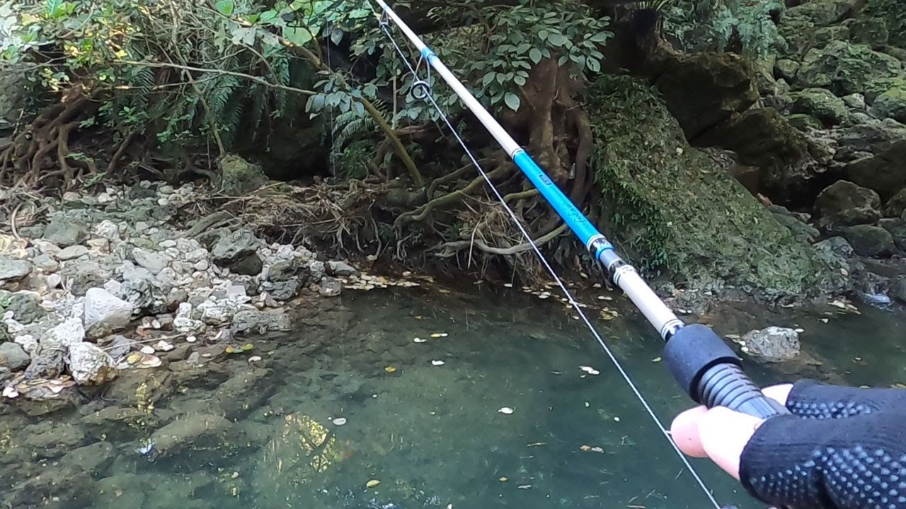 沖縄で国内最大のエビを釣る！