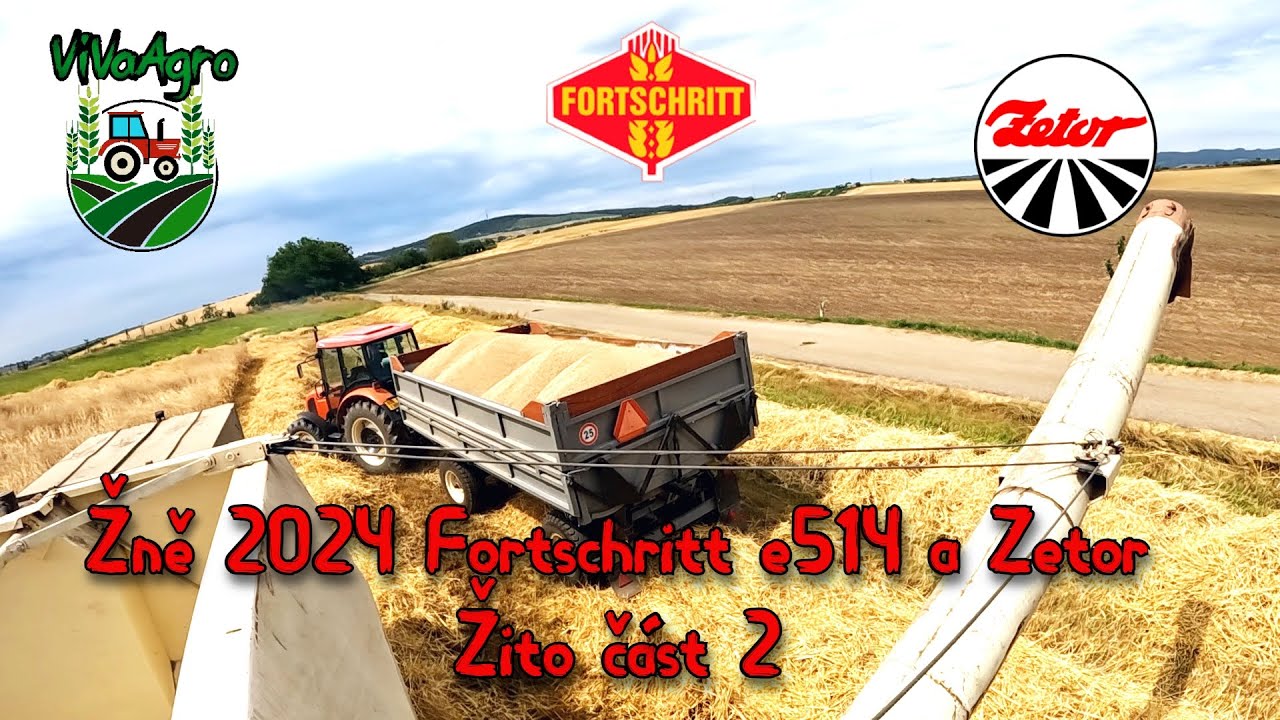 Žně-Zbiór-Harvest 2024 Fortschritt Zetor Tractor, Žito část 2