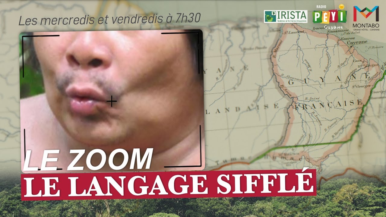 🔬LE ZOOM Science : le langage siffl&eacute;