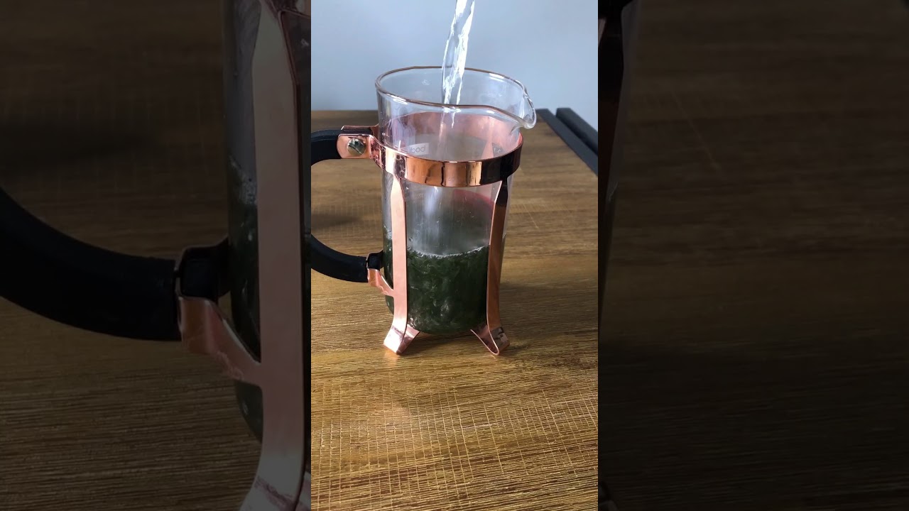 Making Green Tea in a French Press #shorts