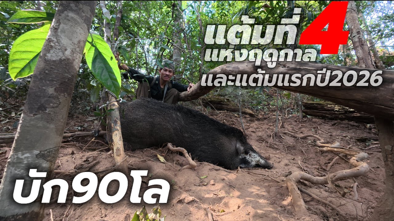 บัก90โลมาแล้วแต้มที่4//ບັກ90ໂລມາແລ້ວແຕ້ມທີ່4 Phranpha-พรานพา ทีมงานล้มลุก