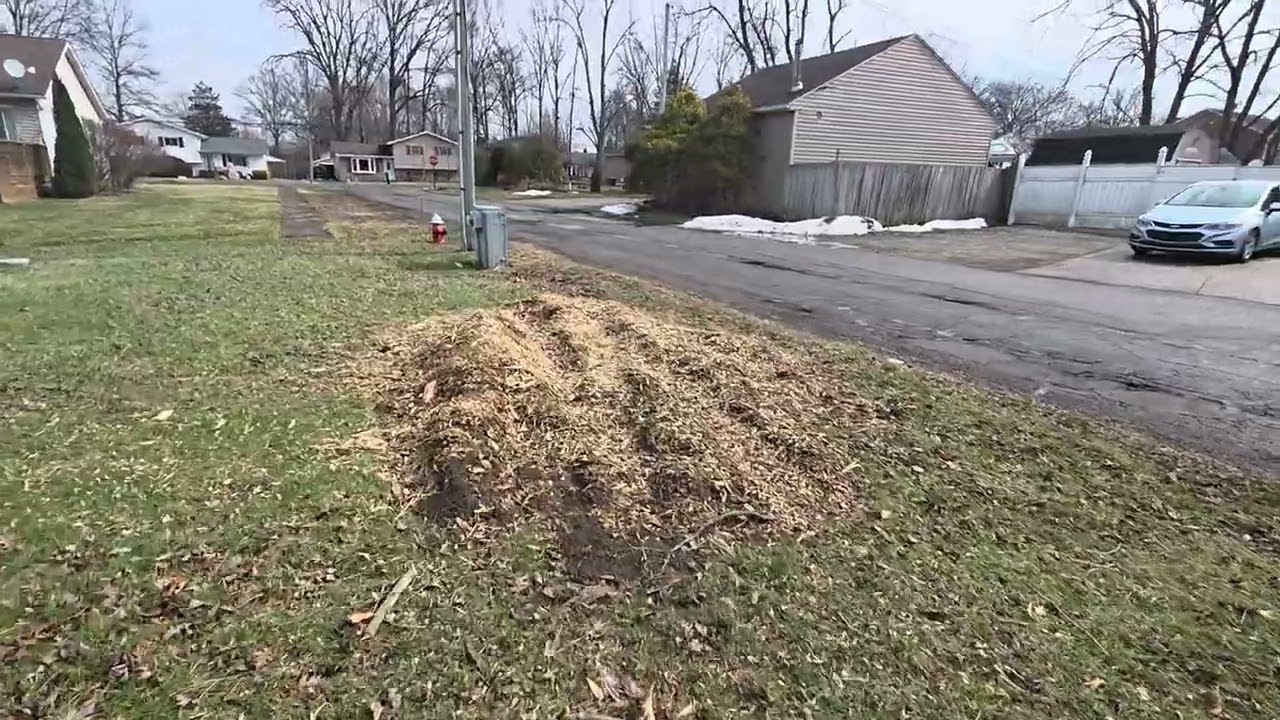 Ware- Lawn Repair 