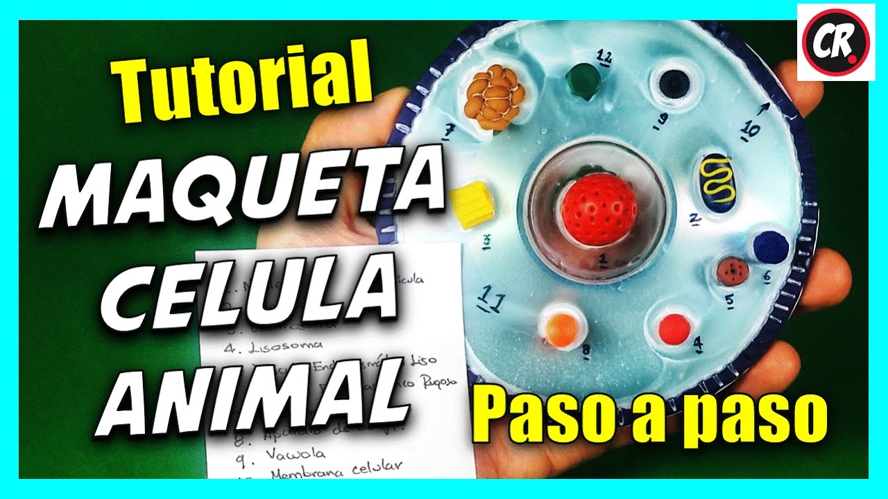 CÓMO HACER UNA CÉLULA ANIMAL Y SUS PARTES | Partes de la célula | Cómo reciclar CDs