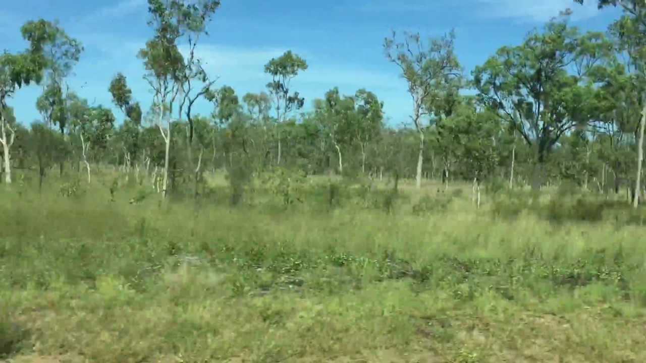 Tropical Savannah