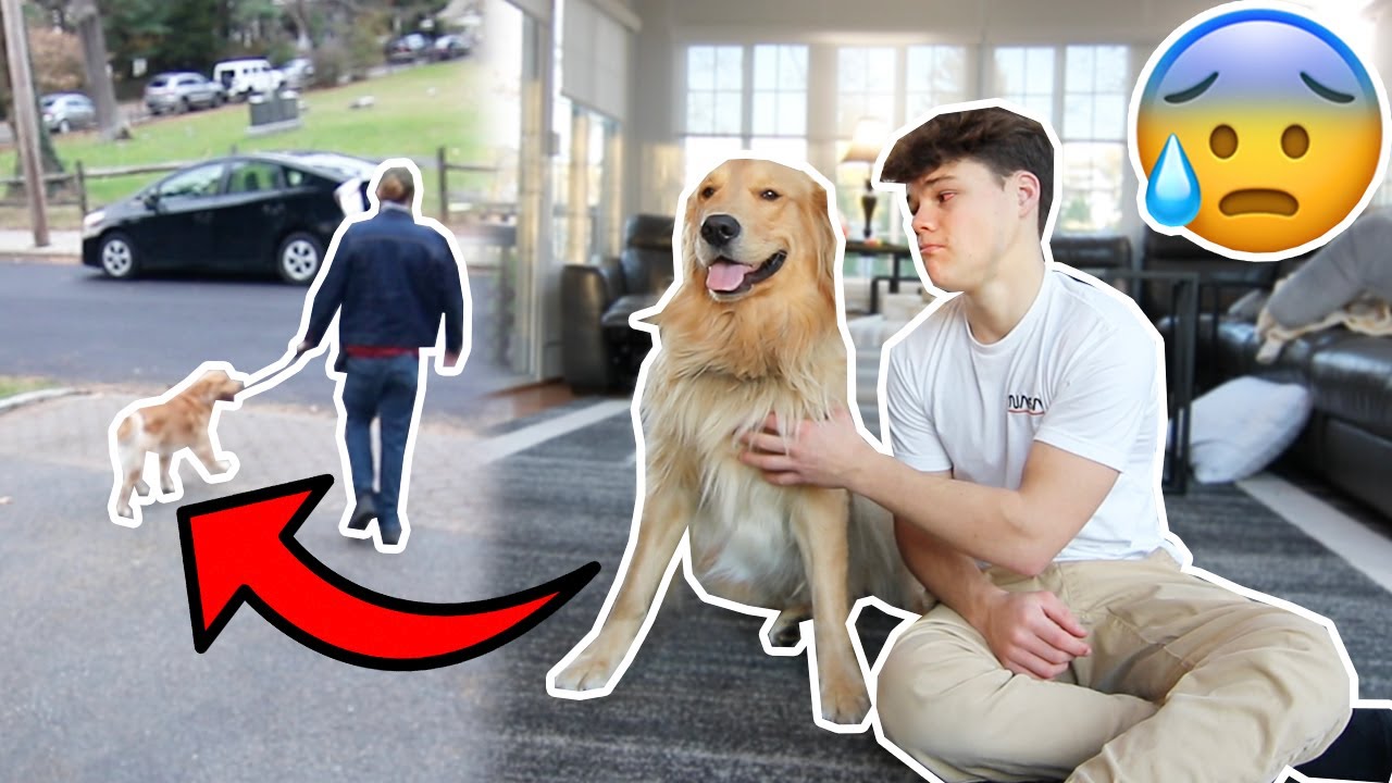My Dog Left Us...