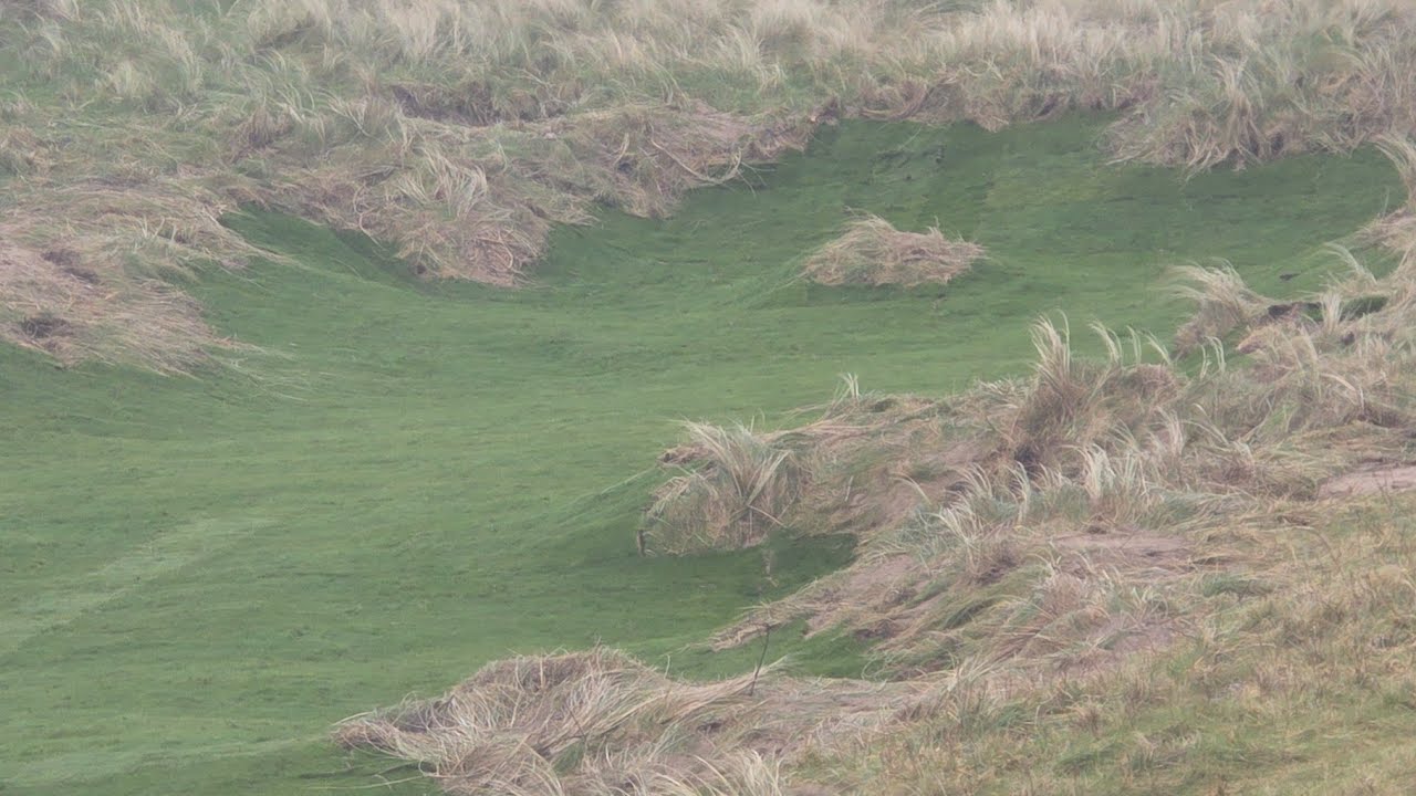 LOVELY NATURAL SHAPES 