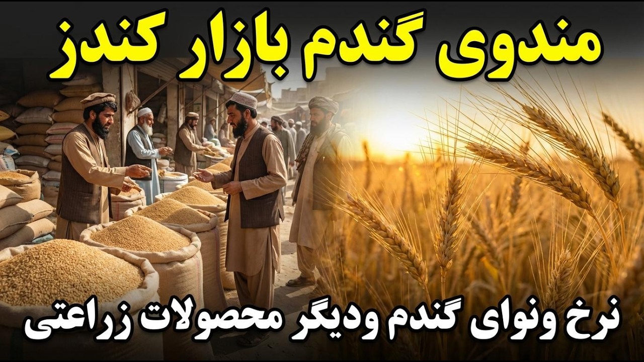 نرخ ونوای گندم ومحصولات زراعتی | گندم بازار کندز جان|