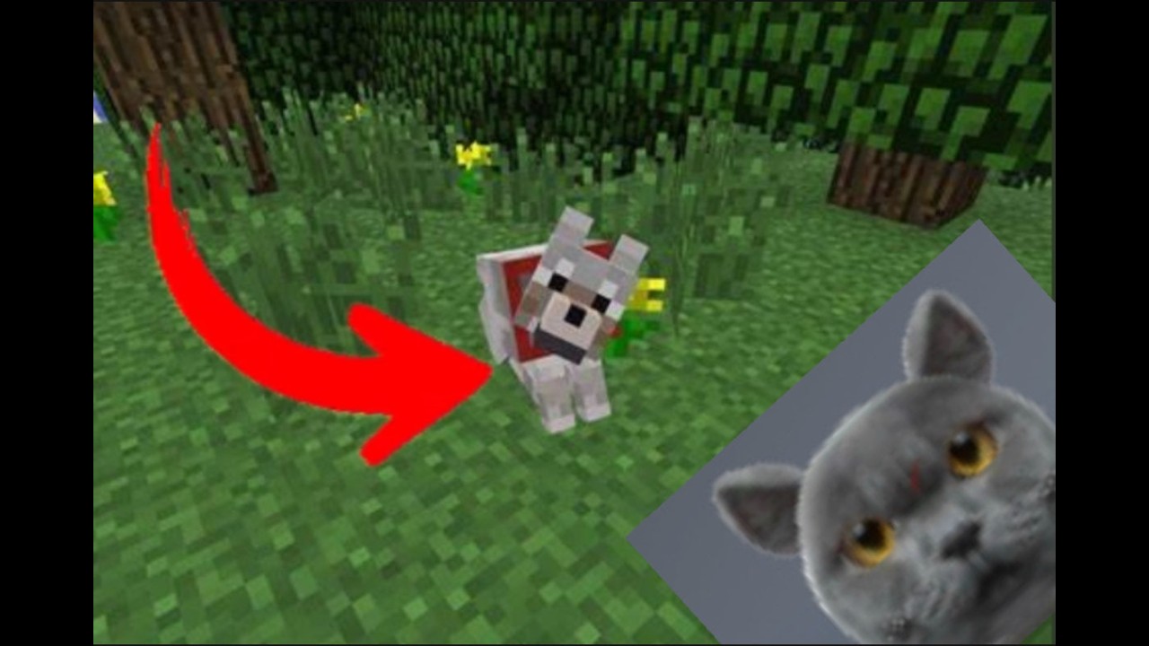 ICH FINDE MEIN ERTSEN BESTEN FREUND in Minecraft (Part 3)