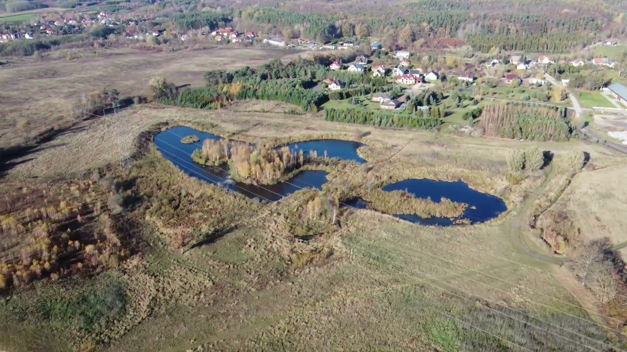 Straszyn i okolice - Camper 11.2022