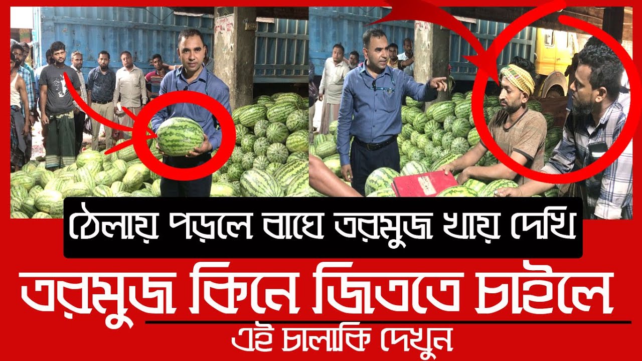 ৮০ টাকার তরমুজ ৩০০ টাকা, বাজারে অভিযান | Daily Issues | Vokta Odhikar | Watermelon