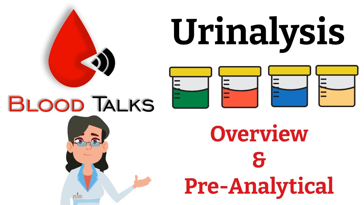 Urinalysis Overview &  Pre-Analytical | What and Why Urinalysis is Done | What&rsquo;s in your urine?