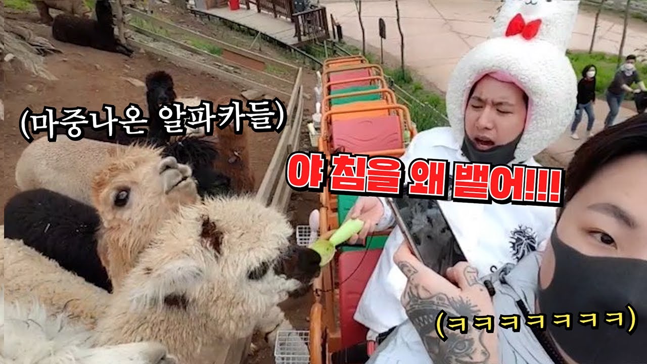 저의 진짜 친구들을 만나고 왔습니다.