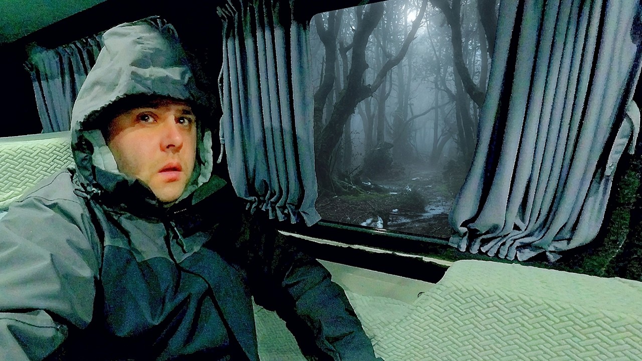 COLD & WET NIGHT Solo Van Camping | THIS WAS HARD TO FILM