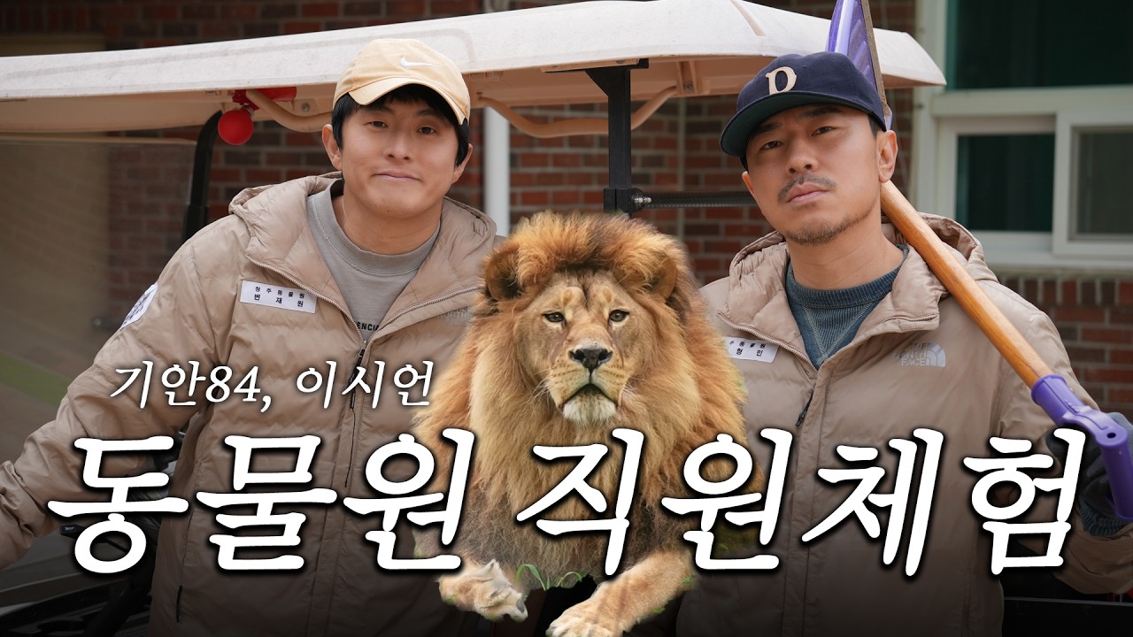 이시언 & 기안84 사자 밥 주기🦁 동물원 직원 일일알바하고 왔습니다. 놀아주기, 💩치우기, 밥 주기~