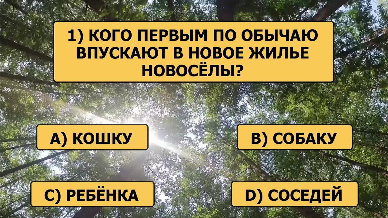 ВЫ — НАСТОЯЩИЙ КЛАДЕЗЬ ЗНАНИЙ, если ответите верно хотя бы на 15 вопросов!