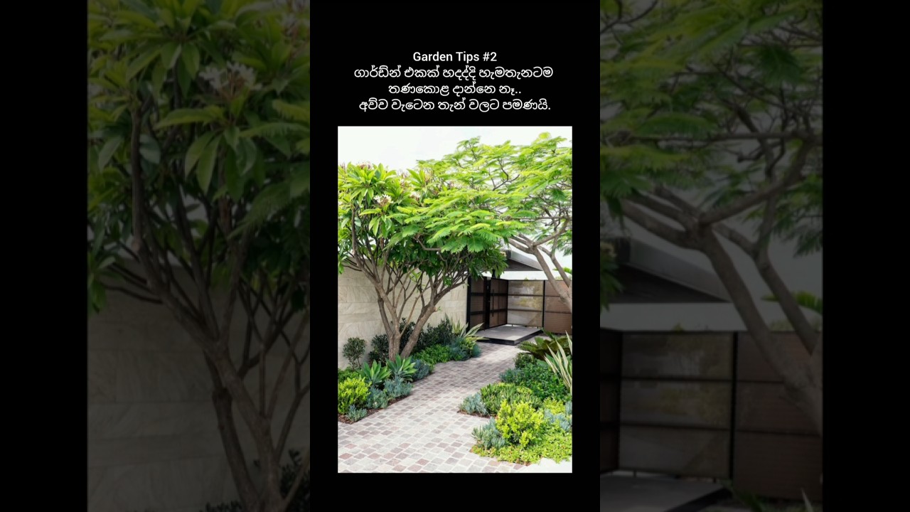 Landscape gardening tips 02 #trending #agriculture #garden