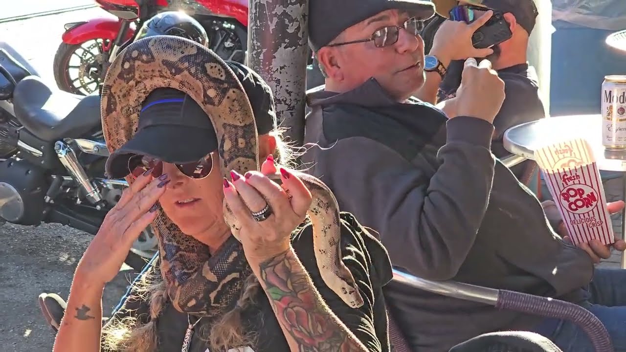 Lone STAR Rally 2025 GALVESTON Texas! Main Street MOTORCYCLES!!