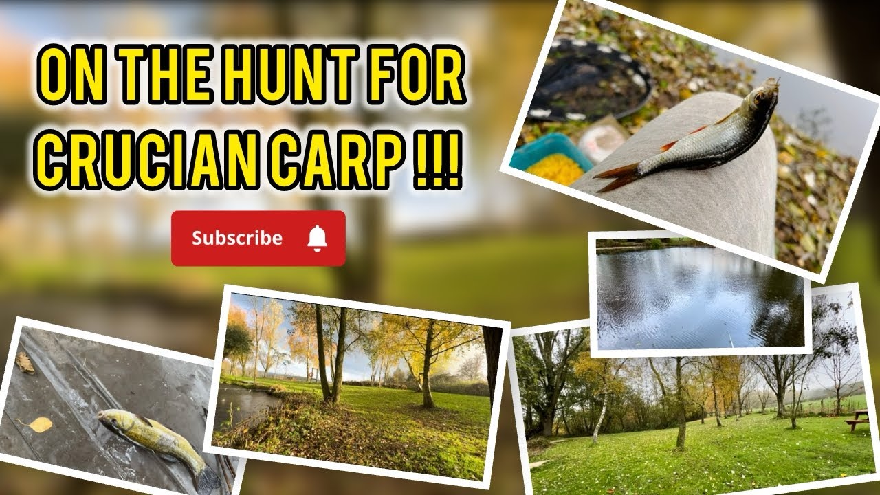 Crucian Carp Sesh! Did We Catch??? 