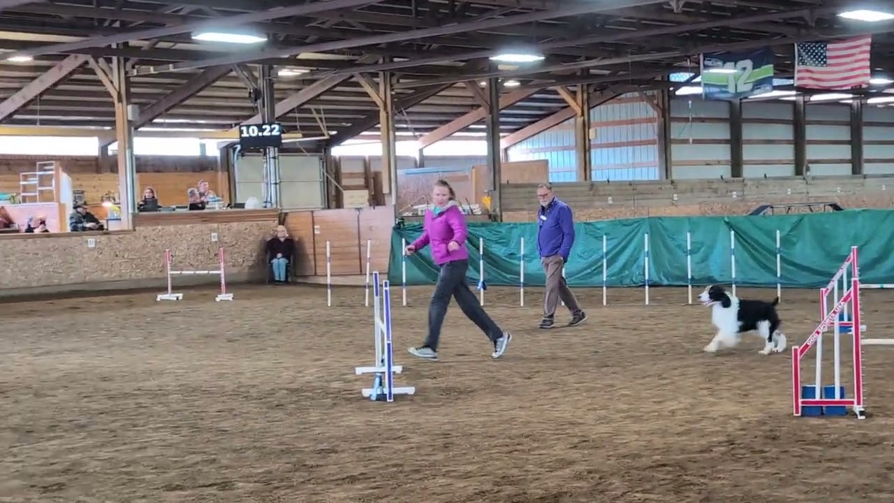 Fun Fur Paws Agility Run Ziggy 2/15/26