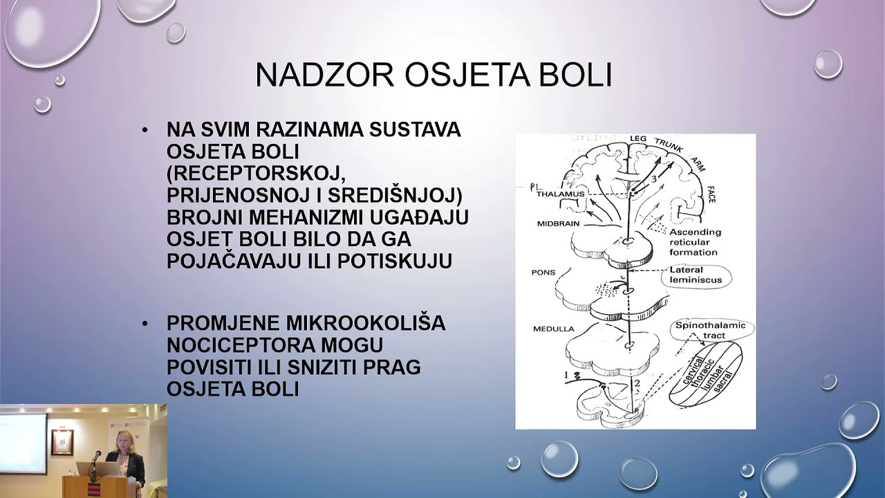 16. Iris Zavoreo Liječenje kronične, nemaligne boli