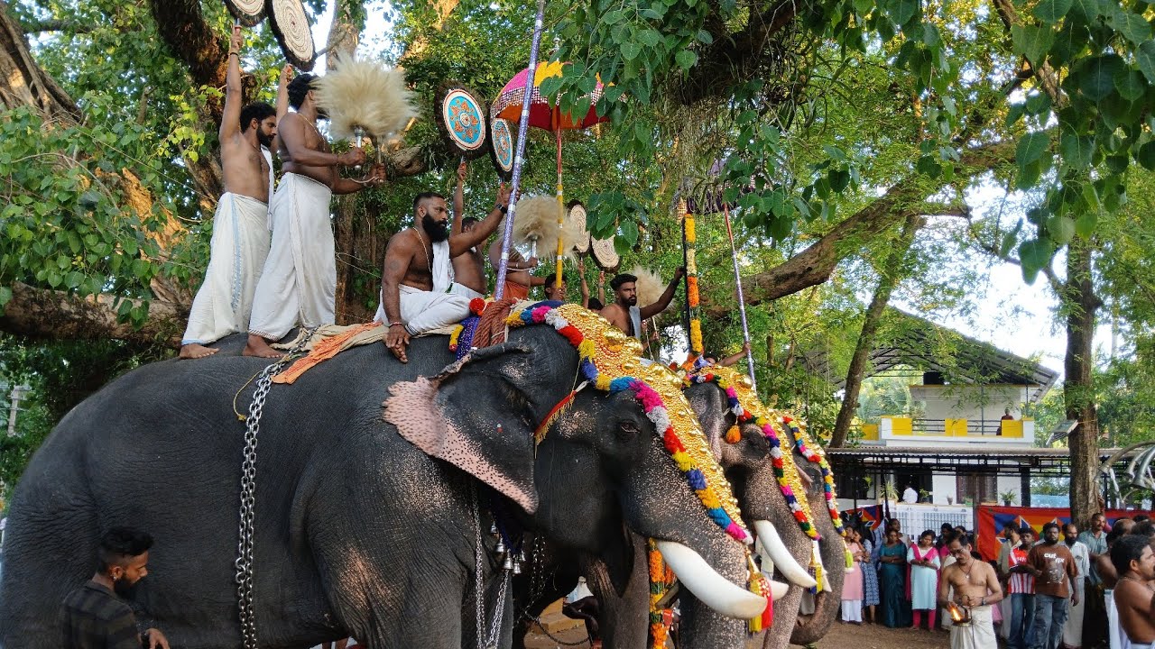 എലവത്തൂർ അയ്യപ്പൻ കാവ് പൂരം             പെരുവനം കുട്ടൻ മാരാർ നയിക്കുന്ന ആൽത്തറ മേളം
