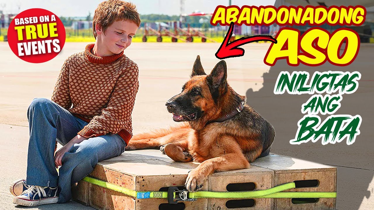 ABANDONADONG ASO INILIGTAS ANG ISANG BATA SA KAPAHAMAKAN