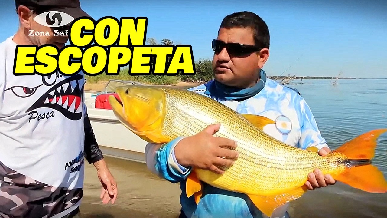 DORADO GIGANTE pescado con escopeta y devuelto al río