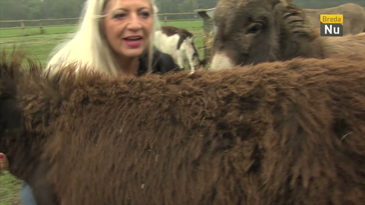 Vacht en veren aflevering 20: De Ezelshoeve