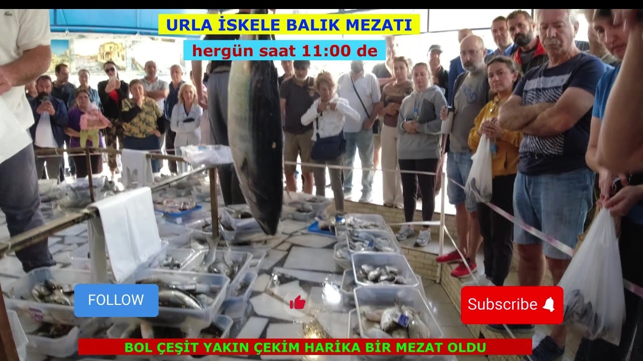 ŞİDDETLE TAVSİYE EDİYORUM, BU KADAR BALIK ÇEŞİDİ VE YAKIN ÇEKİM HER ZAMAN OLMUYOR. URLA İSKELE