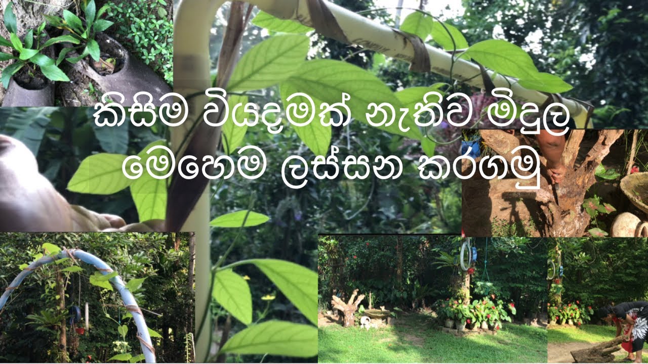 ඉවතදාන දේවල් වලින් මිදුල ලස්සන කරගමුද මෙහෙම🏕💁🏻‍♀️