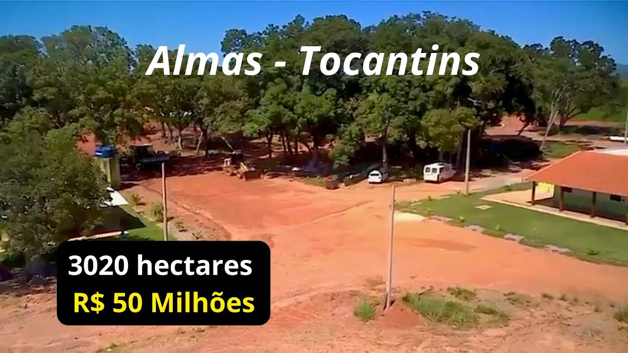 Fazenda pronta com 3020 HA em Almas-TO/ Soja em Produção e Jazida de Calcário