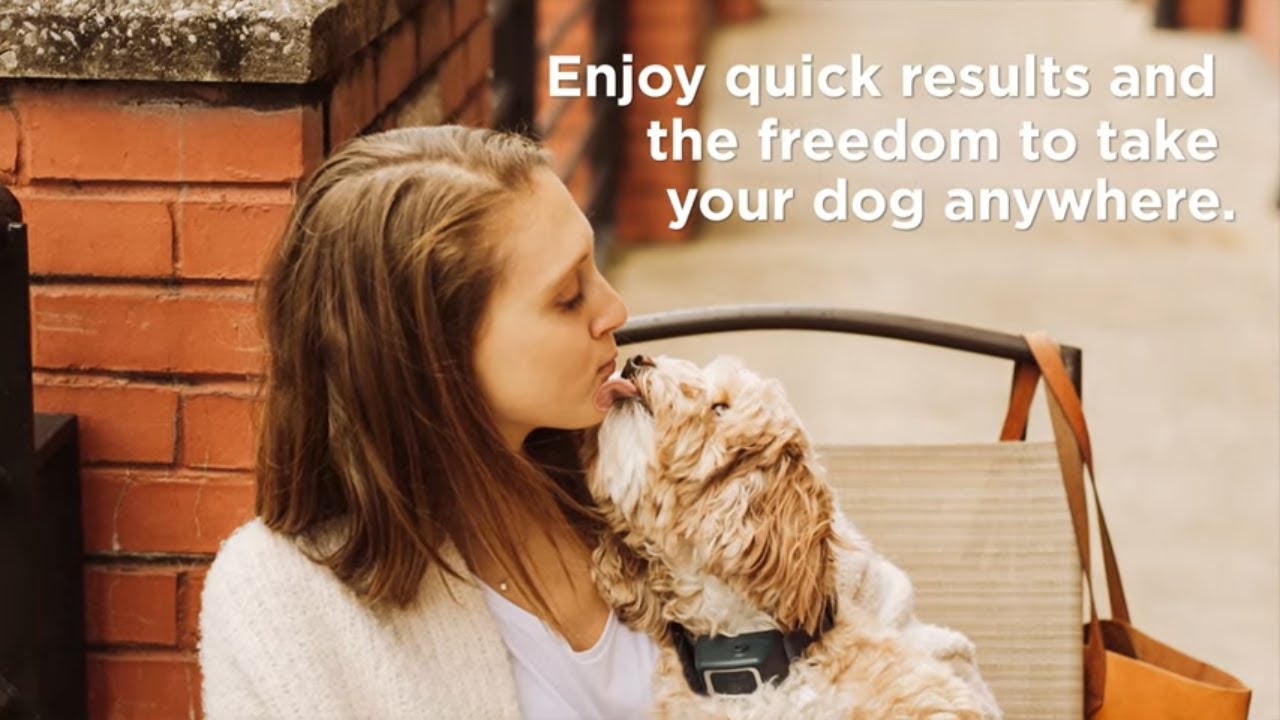 Dog Training Collar with Remote - PetSafe&reg; Remote Spray Trainer