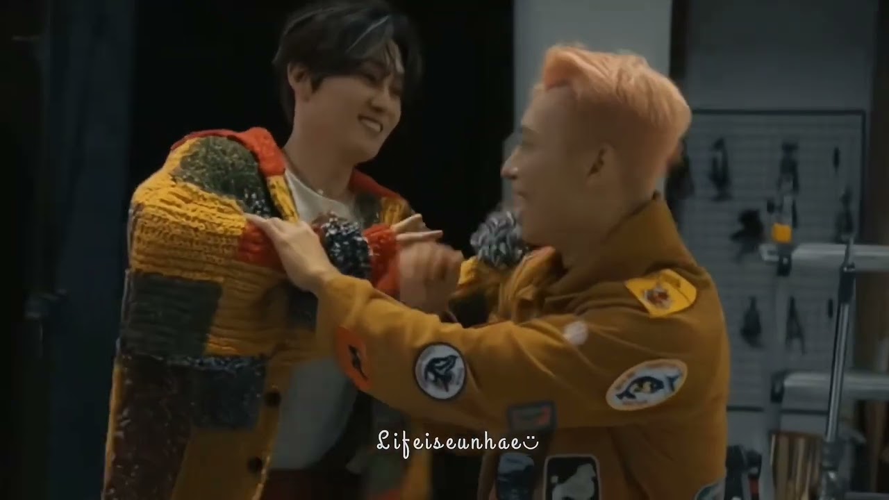 Lifeiseunhae [EP9] Mr.chu - HaeHyuk EunHae ☀️🌙 Donghae Eunhyuk