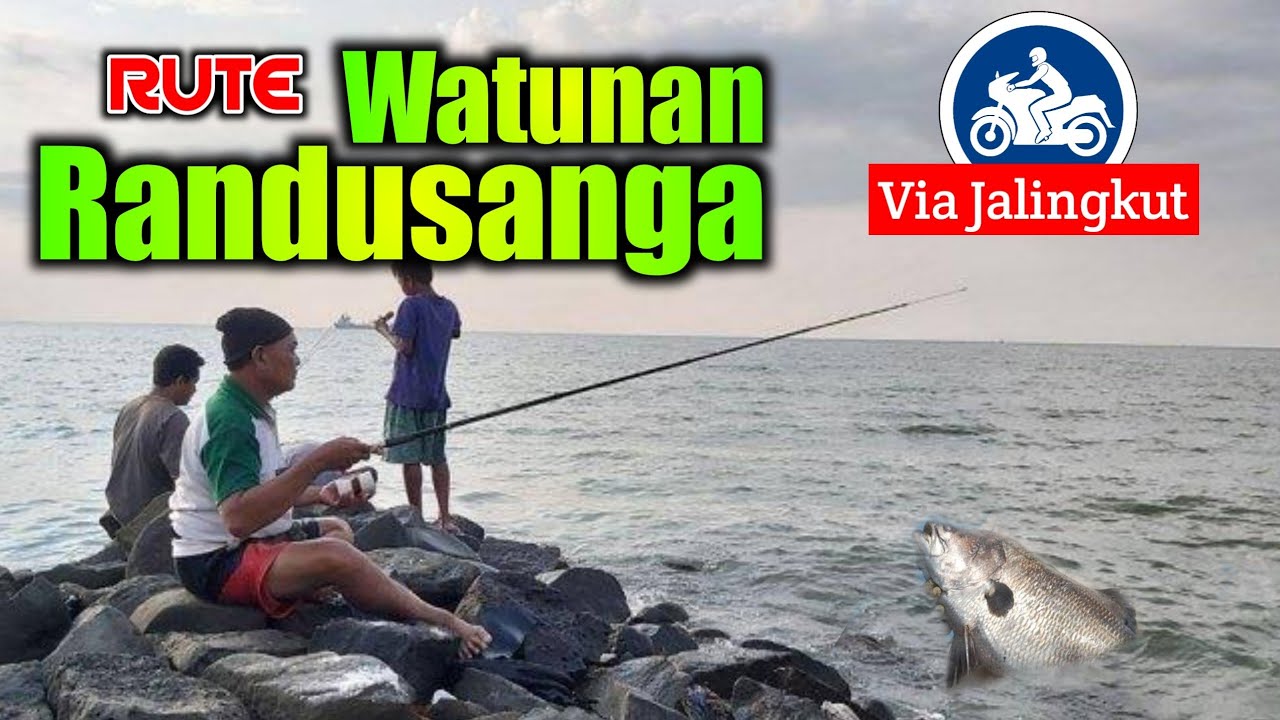 Rute Spot Mancing Barramundi Watuan Randu Sanga / Rute Wisata pantai Randu Sanga Brebes