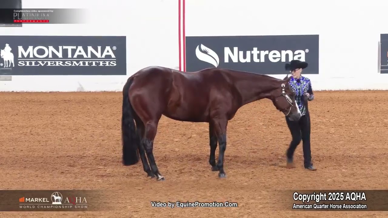 2025 Select Showmanship World Champion