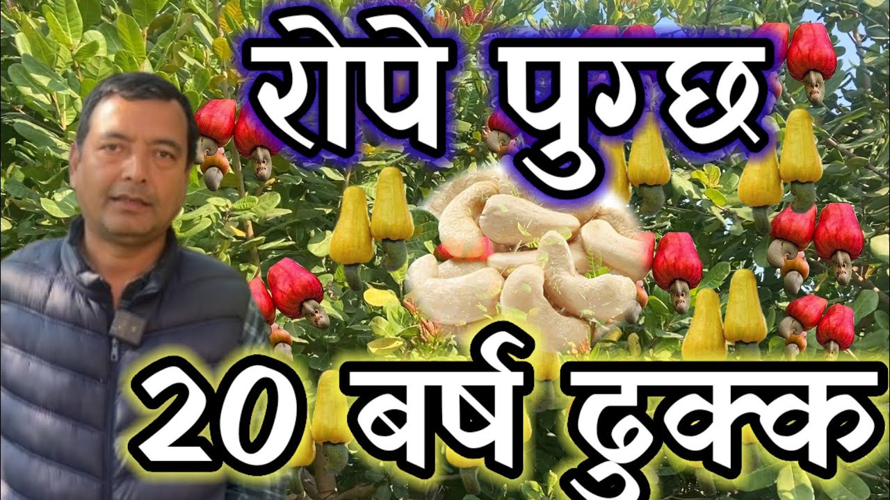 अझै थपेर बगान बनाउने सोचमा छु!