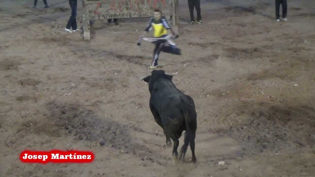 VALL D'UIXÓ (CS) - 15/12/2012 - VACAS DE EVARISTO LÓPEZ Y TOROS CERRILES