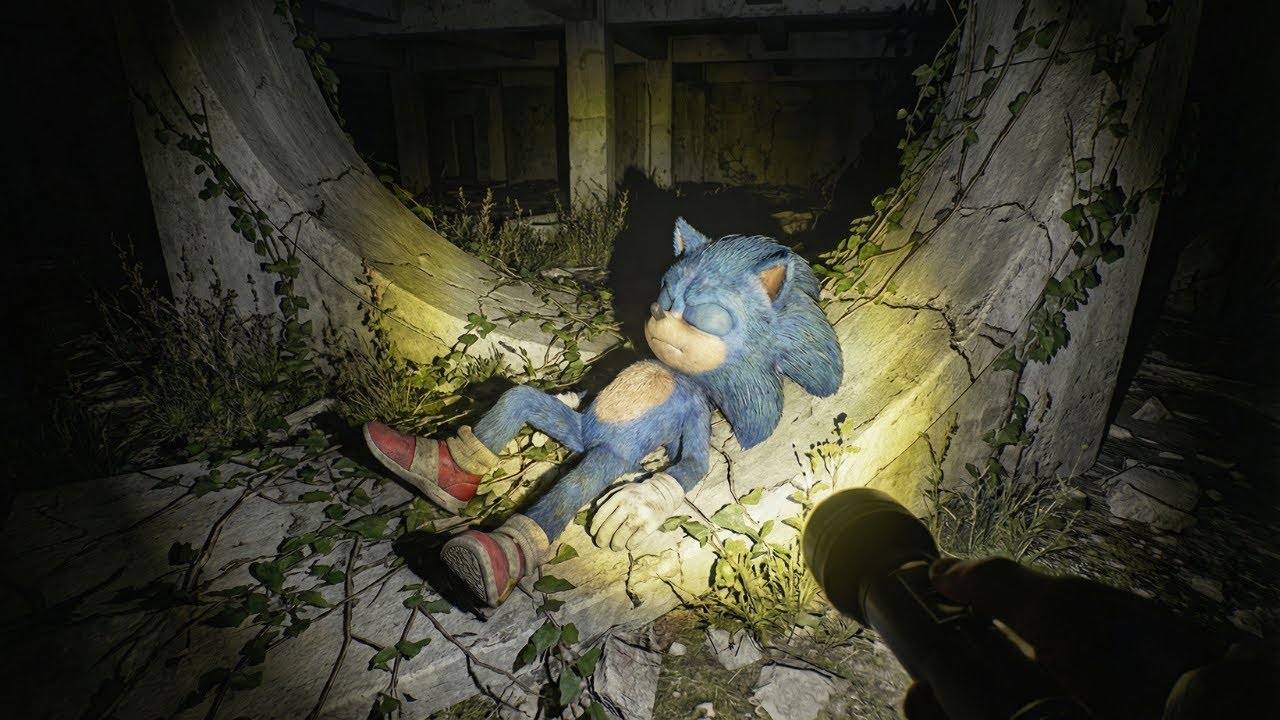 Sonic Characters in Real Life (Found Footage)