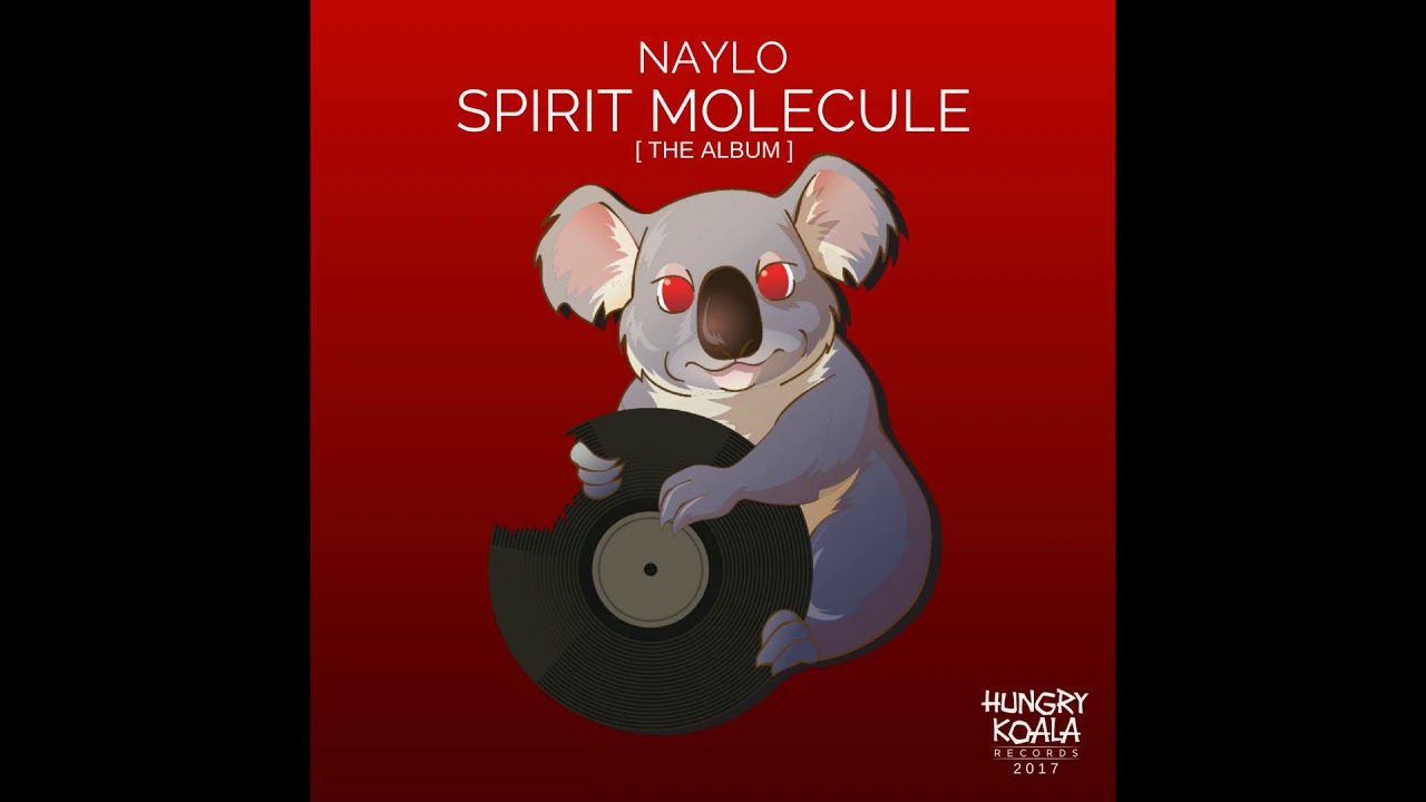 Naylo - Spirit Molecule (Original Mix)
