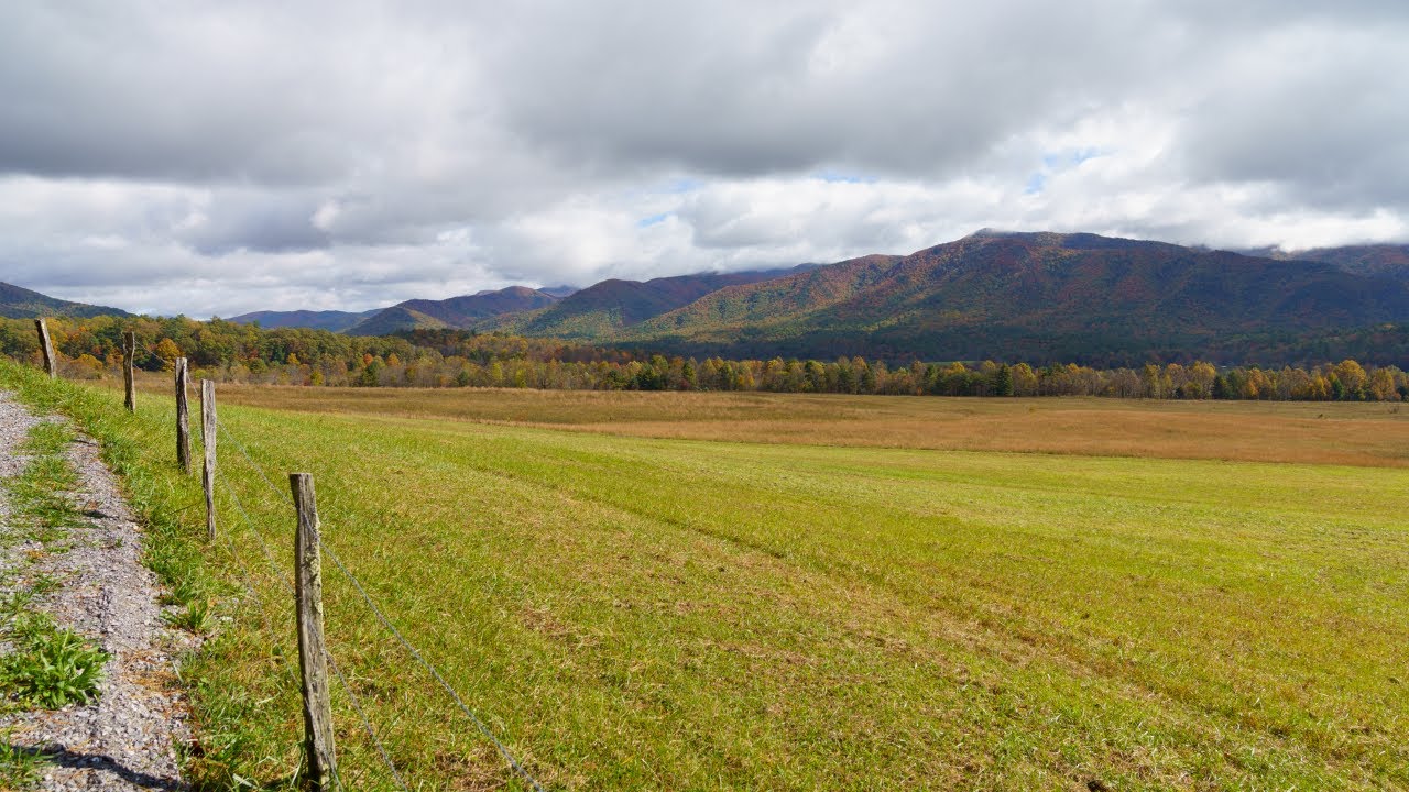 Cade's Cove