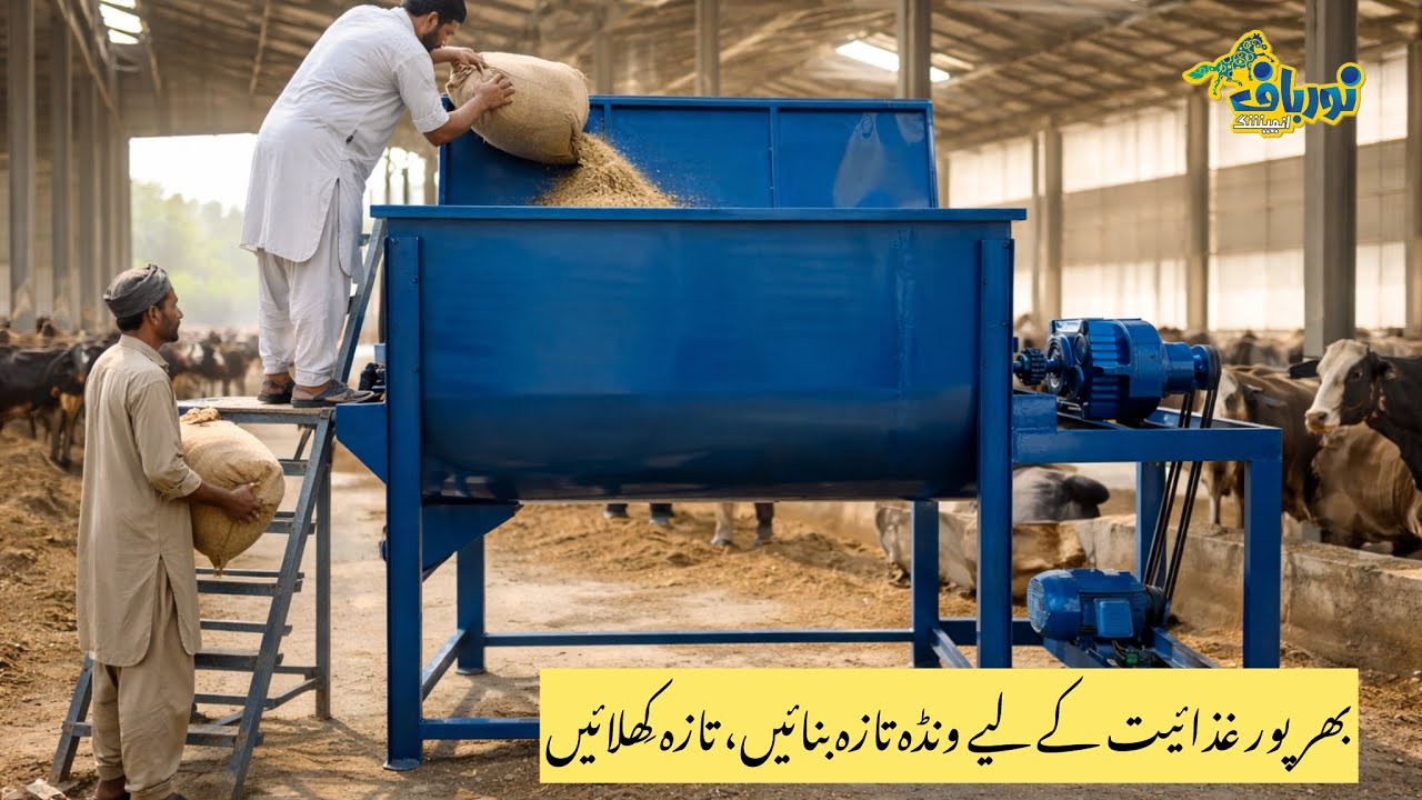 500kg Livestock Feed Mixer | Wanda Mixer | Ribbon Mixer